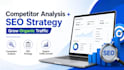 do SEO audit and on page optimization for your website
