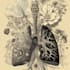 do a botanical illustration