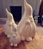 3d print your designs or stls