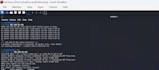 perform web application penetration testing and vulnerability assessment