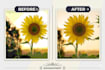 compress, resize, and optimize images for web and ecommerce