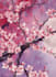 create japanese inspired digital wall art