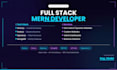 professional mern stack website