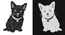 draw your pet into awesome scribble art