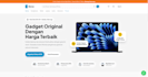 build a professional SEO ready business website