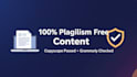 write SEO optimized blog posts and articals