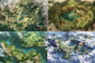 make professional a fantasy rpg  map illustration