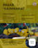create visually engaging content