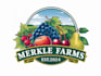 create a professional fruits farm logo design