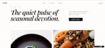 build a modern website for you