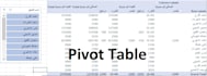 create excel dashboard and data analysis with 24h delivery