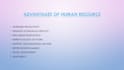 create professional powerpoint  presentation and ppt slides