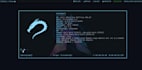 cybersecurity penetration testing for costume websites
