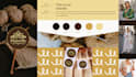 design modern brand guidelines and visual identity