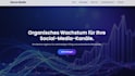 create a website for a profissional business