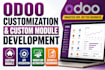 do odoo customization, custom odoo modules  development and api integration