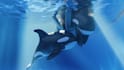 create cinematic 3d underwater animation