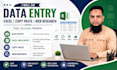 do accurate data entry, excel data entry, copy paste and web research