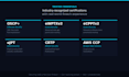 do a professional web application and API penetration test