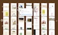 conduct a professional UX UI and accessibility website audit