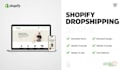 build a branded shopify dropshipping store ready for sales