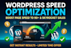 do wordpress speed optimization and shopify speed optimization