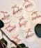 write anything in modern calligraphy