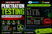 do website penetration testing and provide vulnerability assessment