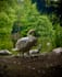 edit and enhance your photos