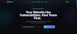 do web application penetration testing and security audit