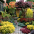 do your landscape design