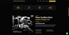 develop ai website, web designer