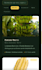 create a beautiful web site