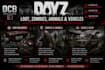 setup and optimize your dayz server