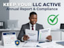 keep your US llc active with compliance support
