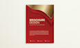 design a professional company profile and brochure