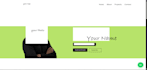 do website development and custom software development