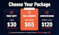 write high converting dutch website and landing page copy