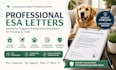 draft professional emotional support animal  letters