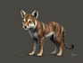 draw cute animal illustrations