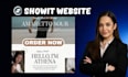 create a professional and responsive showit website design