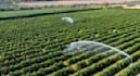 write professional agriculture, and agronomy articles