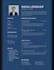 create professional CV template