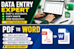 do urdu typing and data entr