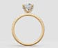create custom jewelry designs using expert cad software