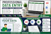 do data enrty, copy paste , and PDF to word conversion