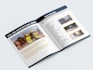 brochure design , company profile,  poster and  business flyer