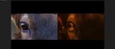 rotoscope vfx compositing, 3d modeling, custom vissual effect