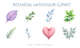 create custom watercolor clipart sets and icons