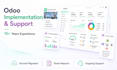 do odoo erp customization, integration and migration